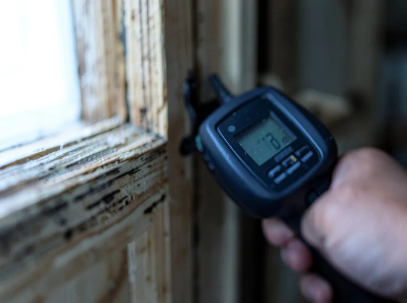 Moisture Inspection And Documentation in Manchester, MA